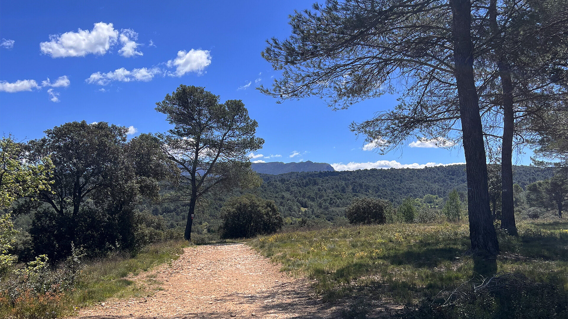 rando-collet-blanc venelles